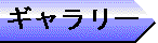 ギャラリー