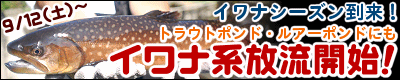 �C���i�V�[�Y�������I�@9/12(�y)���C���i�n�����J�n�I
�i�Ώہ@�g���E�g�G���A�E���A�[�G���A�j