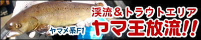 �k�����g���E�g�G���A�@���}�������I